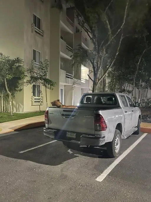 Lizard Apartment بلايا ديل كارمن المكسيك
